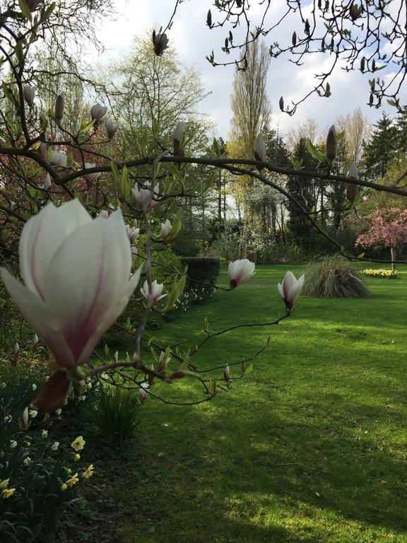 Le Domaine Des Loups